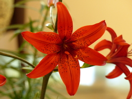 Foto: Dr. Peter Müller